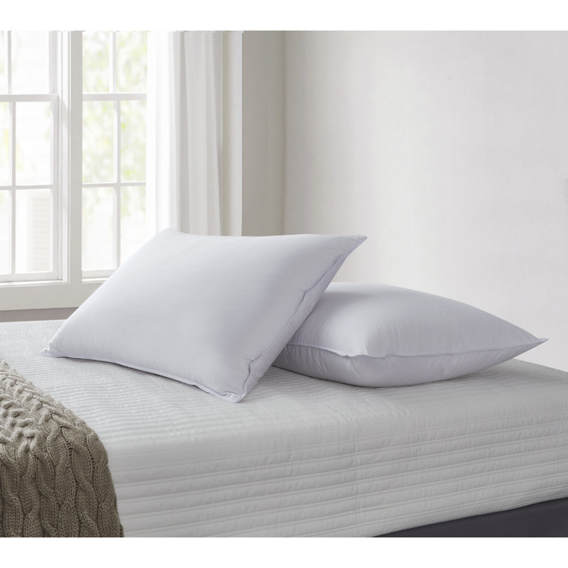 Jumbo Hypoallergenic Tencel and Polyester Pillow Set