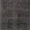 Oriental Indoor Rug