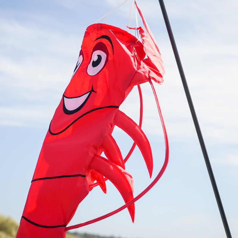 Manche à vent 3D homard