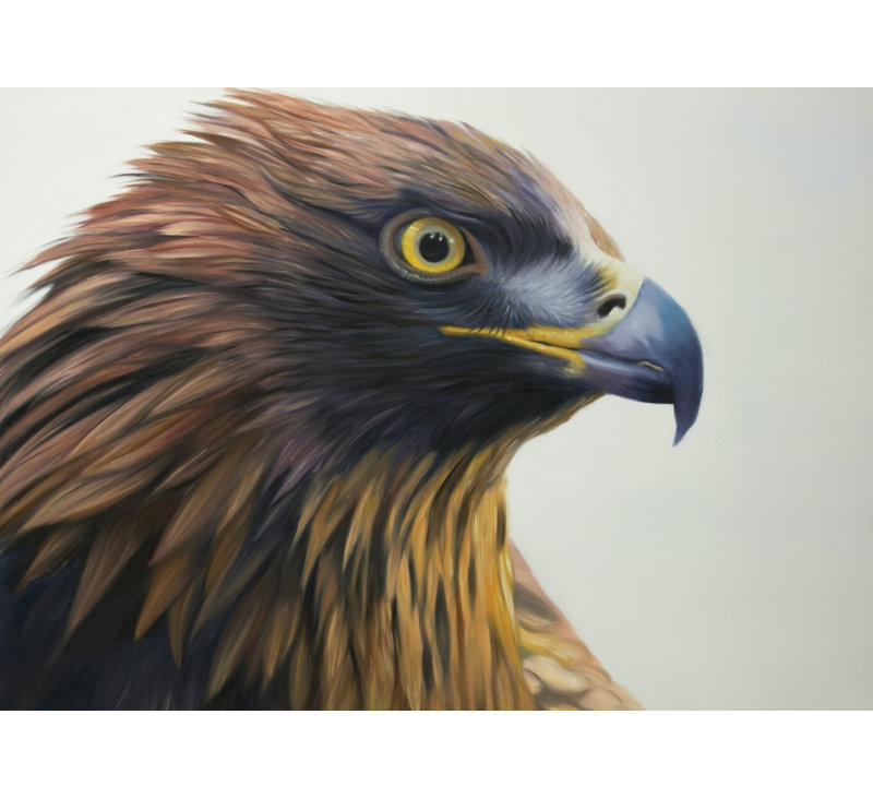 Brown-headed eagle Door Mat - Indoor Outdoor Home Decor