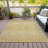  Bhavya Area Rug-772062037