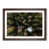 Walnut Framed selected