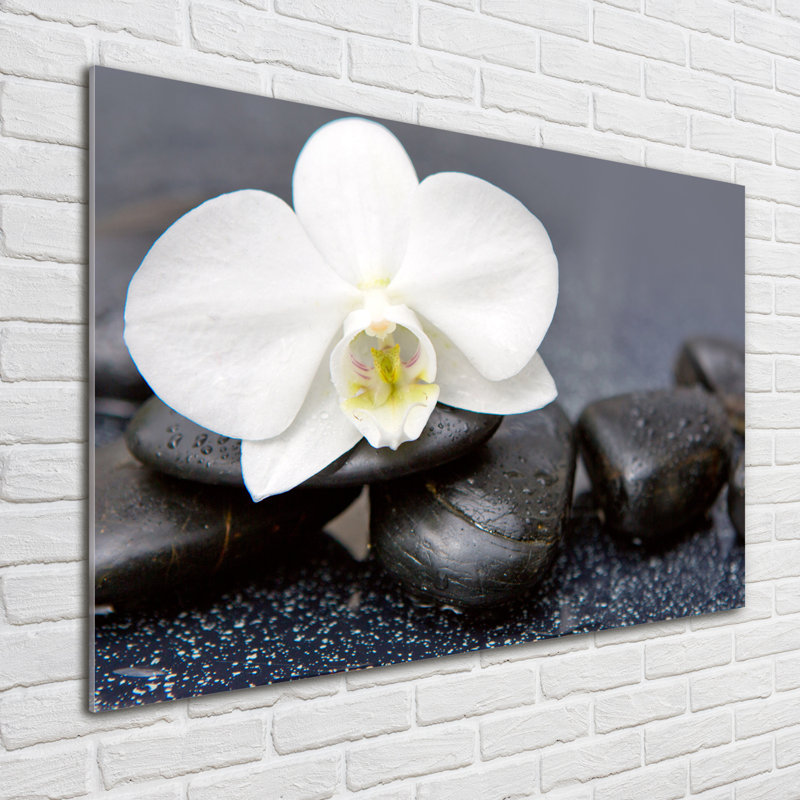Orchid - No Frame Print on Glass
