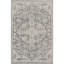Oriental Area Rug-1039337589