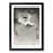 Black Framed selected