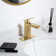 Single Hole Bathroom Faucet with Drain Assembly, Single Handle Bathroom Sink Faucet with Pop-up Drain Stopper