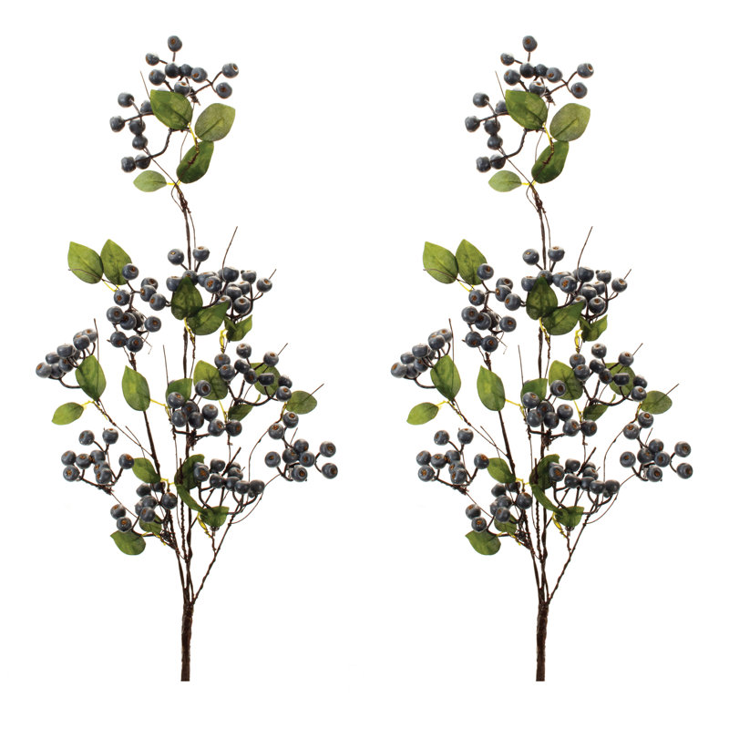 Jet de feuillage Blue Berry