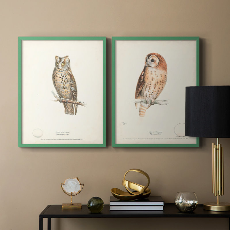 Scops Eared Owl - reproduction encadrée de qualité supérieure - prête à être accrochée - aucun clou requis - aucun clou requis