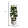 Panama 66" Artificial Scindapsus Aureus Tree in Planter