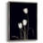 Tulip Pose III Framed Print - Solid Wood 48156-956558992