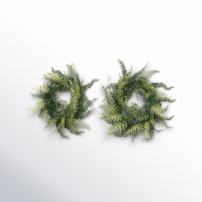 Artificial Buckler Fern and Grass Wreath, 18" H x 18" W x 4" D