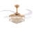 Houstyn Dimmable Crystal Ceiling Fan-1650773953-1733840709