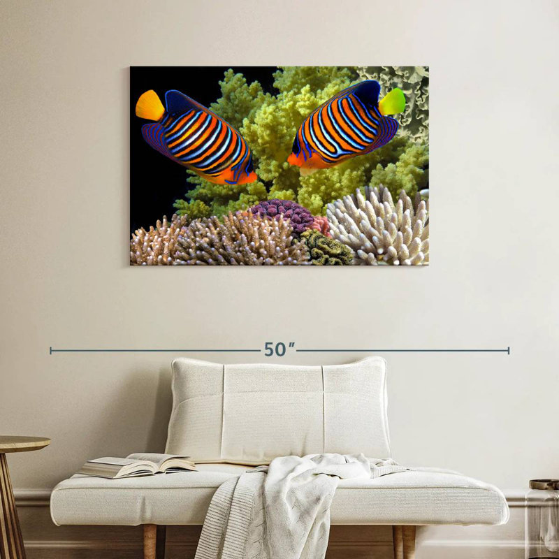 Brampt Red Sea Reef Regal Angelfish, 26" H x 39" W