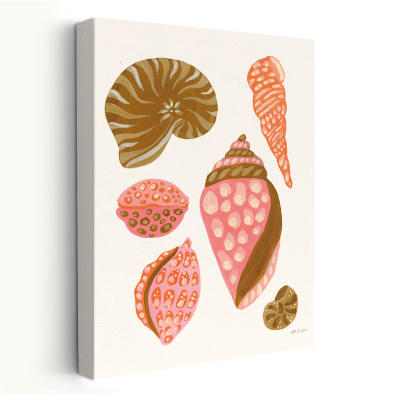 My Tropical Shell Collection I Coastal; Nautique; Tropical tropical brun côtier, H 36 po x l 24 po