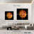 Oberle Venus Close Up-109114641