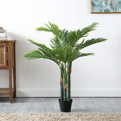 Plante de 49 po