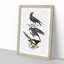 Raven, Crow and Magpie by J.E. De Kay - Framed Print-55616422-55616423