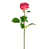 Rose profond sélectionné