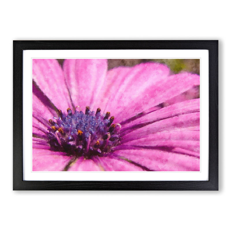 Purple Flower Vol.2 - Framed Print, 27cm H x 36cm W x 2cm D, Black Framed