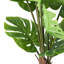 3,5 pi Faux Monstera Deliciosa Liebm en pot