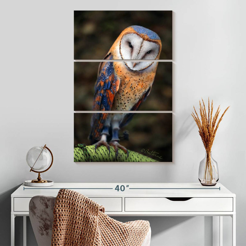 Brampt Heart-Shaped Face Barn Owl, 32" H x 20" W