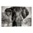 Toile tendue