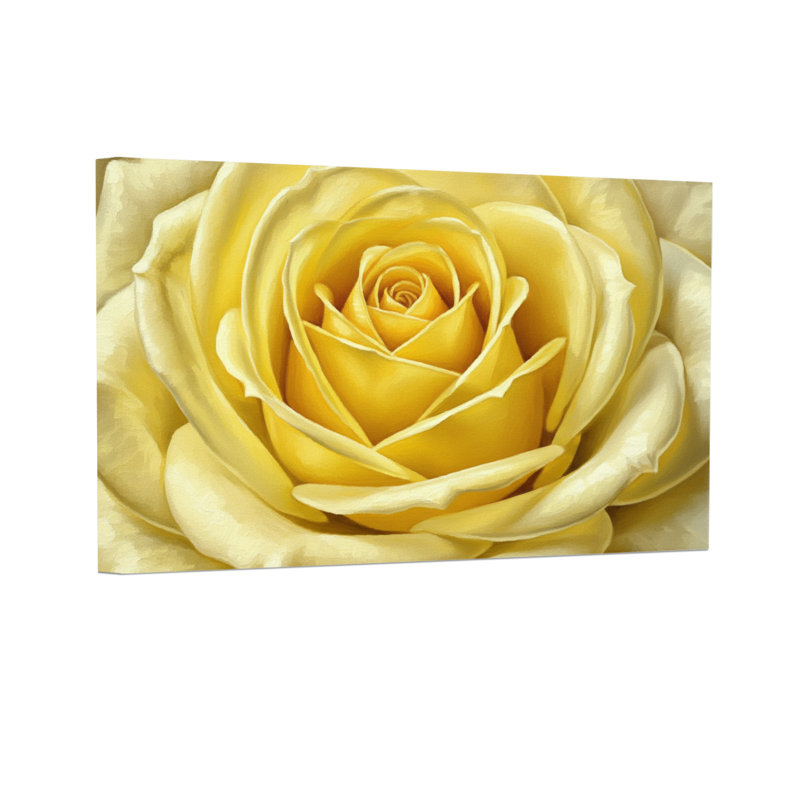 Plantes et fleurs, rose jaune, gros plan, motif floral, H 16 po x l 24 po, Jaune