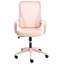 Mesh Office Chair-1093151300-1093151301