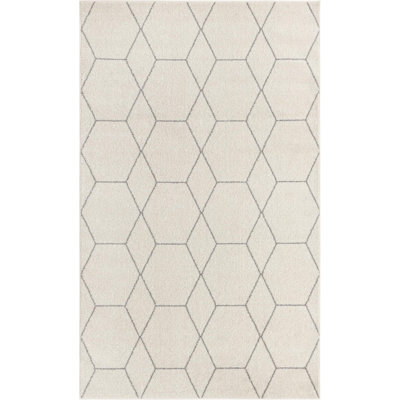 Liggett Geometric Flatweave Area Rug