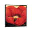 « red beauté i », impression sur toile-29090124-72780965-72780966