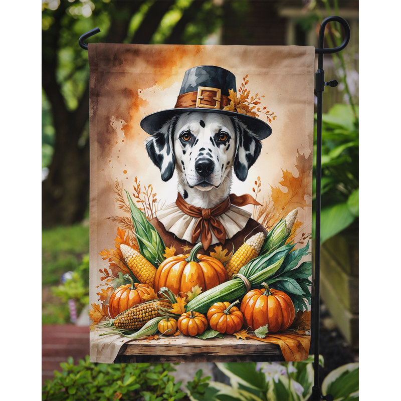 Drapeau du jardin de l'Action de grâce, Dalmatien