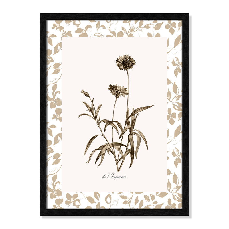 «Neutral Imperial I Print» par Kelly Donovan, 17'' W x 23'' H, Framed Print, Black Woodgrain
