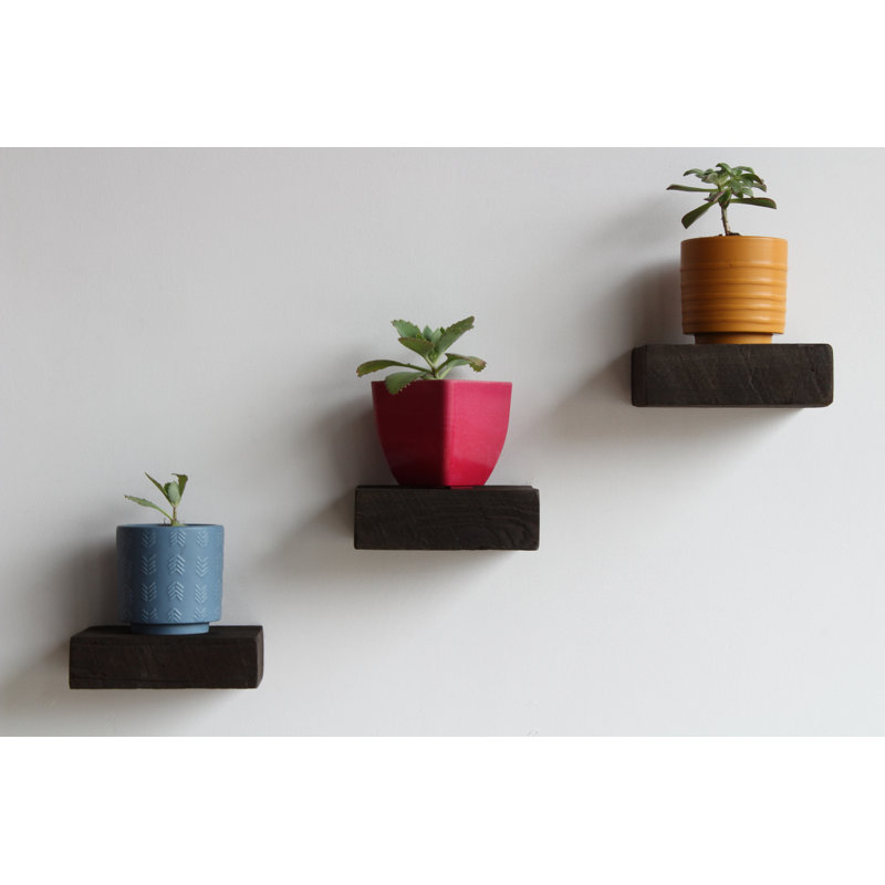 Salomon 3 Piece Solid Wood Floating Shelf, Coffee Bean