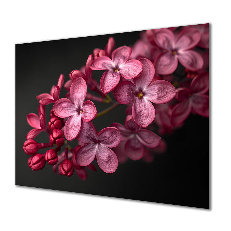 Noir et rose, photo de beauté lilas romantique II - lilas, art mural, Sans cadre, métal, H 12 po x l 20 po
