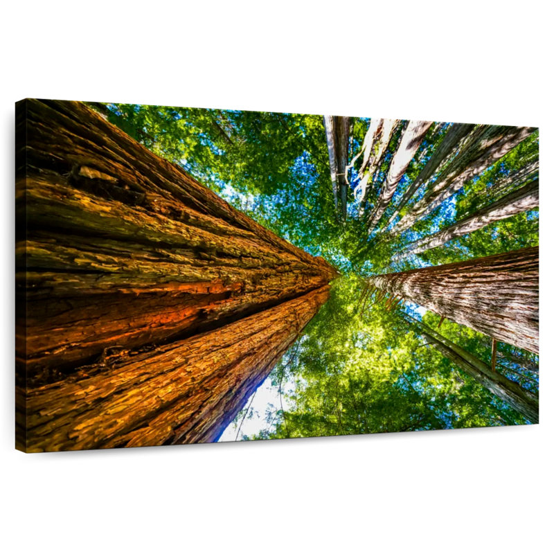 Auvent Harnek Redwood