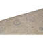 Floral Area Rug in Ivory