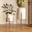 Nala Round Elegant Raised Modern Indoor Pot Planters Set