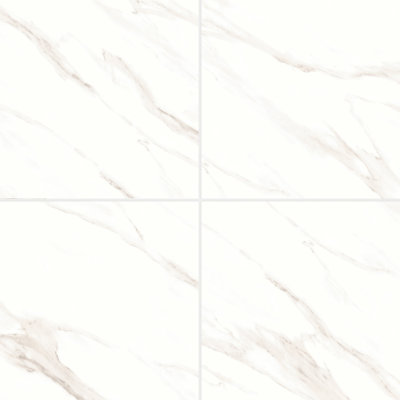 Shandar 24 in. x 24 in. Porcelain Tile