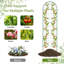 180cm W Metal Arched Trellis