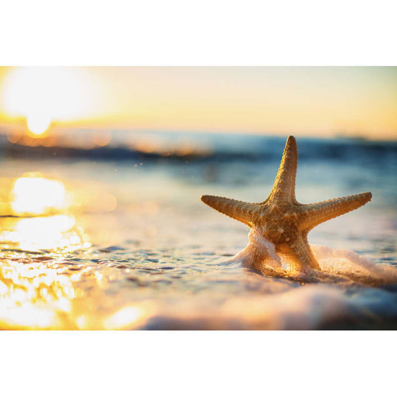 Starfish On Beach - Wrapped Canvas Print, 81cm H x 122cm W x 3.8cm D