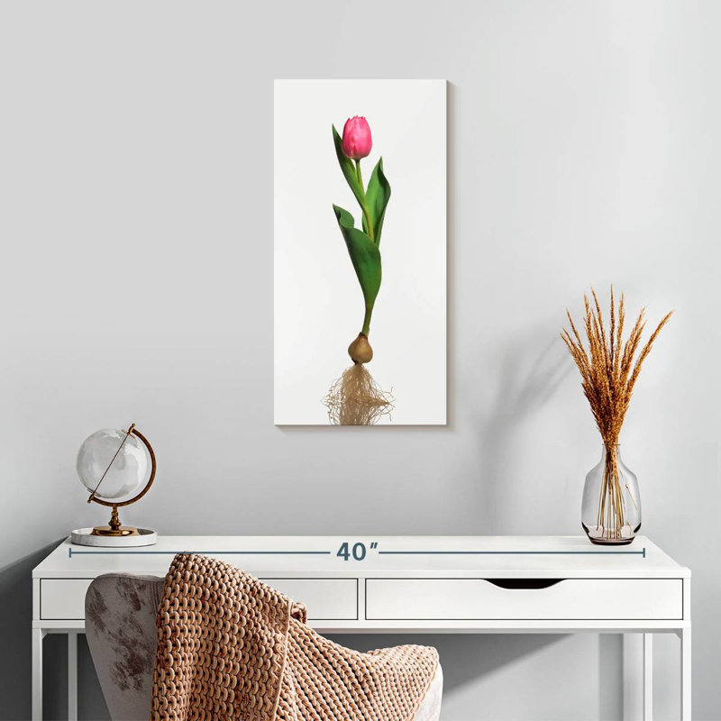 Ampoule de jardin tulipe, H 24 po x l 12 po