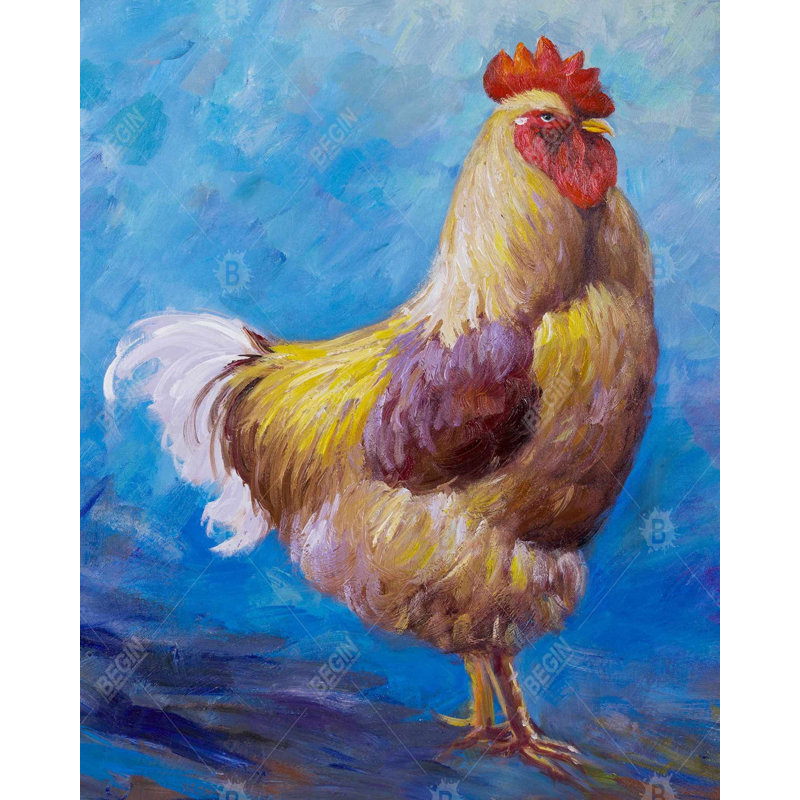 " Beautiful Rooster "