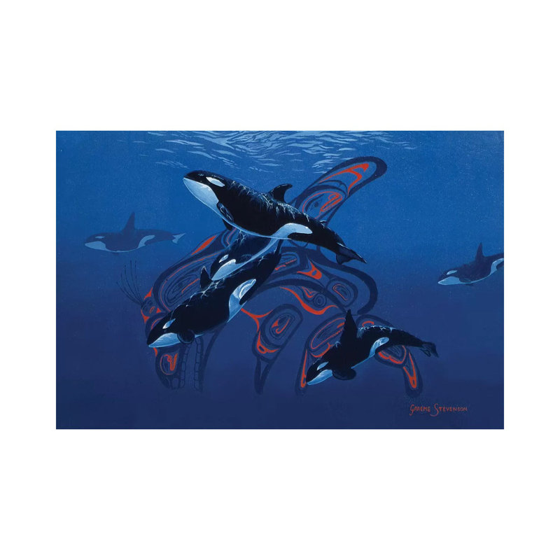 Orca Days by Graeme Stevenson - Wrapped Canvas Print, 20.32 cm H x 30.48 cm W