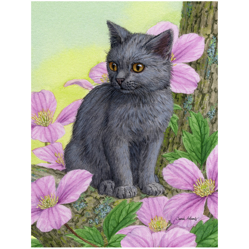 Drapeau de jardin 2 côtés chartruex chat