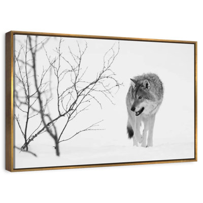 Chasse au loup d'hiver