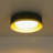 Modern Led Flush Mount 5 Cct Adjustable-1273034018
