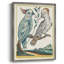 «Pastel Birds I», reproduction encadrée - bois massif-1603384578