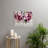 Dore Polyester Wall Hanging-33694656