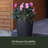 Caprio Tall Resin Pot Planter with Water Reservoir-1685692703-1685692699