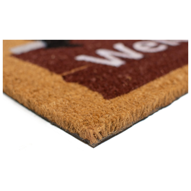 Akbez Non-Slip Outdoor Doormat, 24"W x 36"L